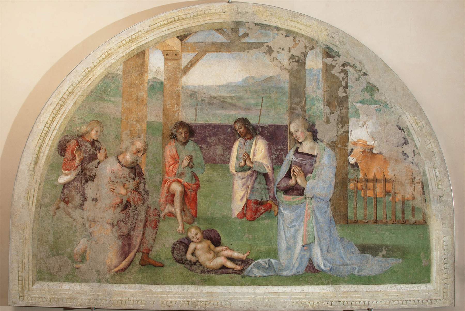 Pérouse, début de la restauration de l'Adoration des bergers du Pérugin