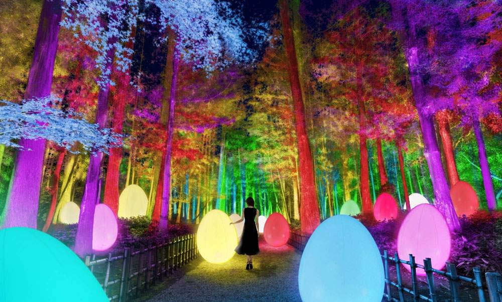 La tecnologia digitale trasforma storico giardino giapponese in un paese delle meraviglie