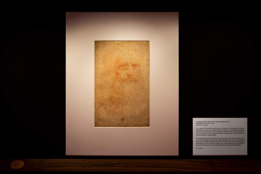 Face to face with Leonardo da Vinci: drawings of the genius on display in Turin