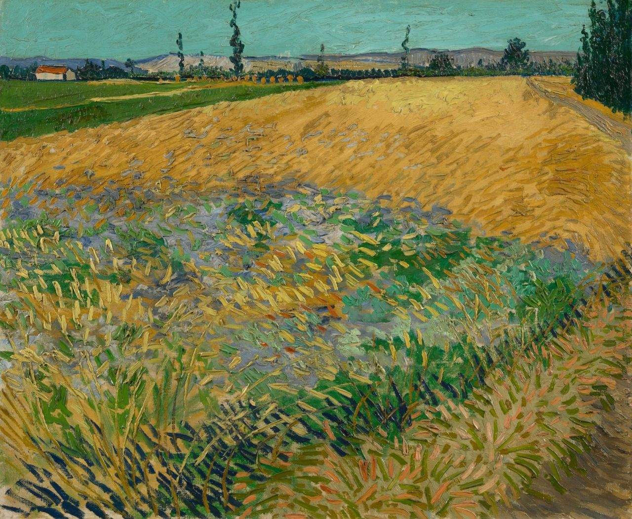 Le musée Van Gogh lancera une ligne de parfums inspirée par le grand artiste