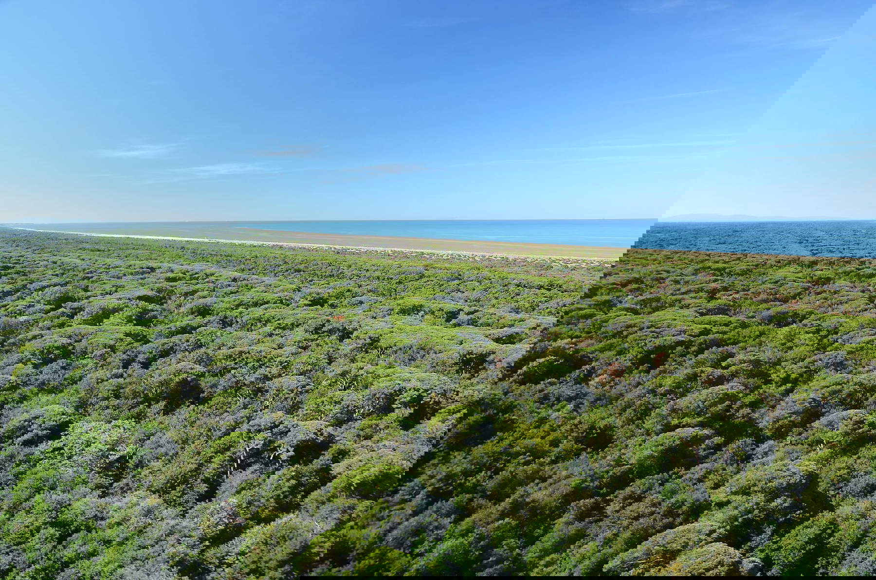 La Pineta di Levante dall'alto. Foto Piero Sant