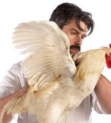 Quand un poulet devient une œuvre d'art innovante. Entretien avec Koen Vanmechelen