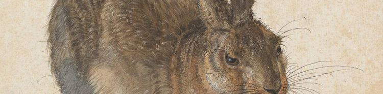 Albrecht DÃ¼rer's animals: why his studies were so realistic and innovative