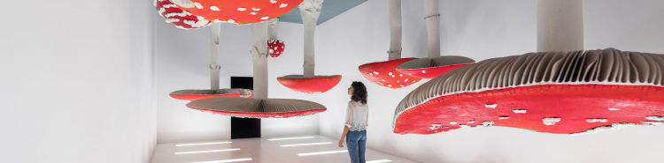Carsten Höller, un monde "à l'envers" pour échapper à la réalité