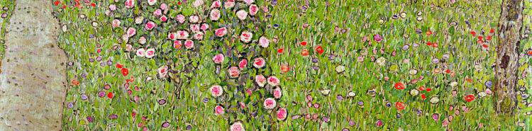 Gustav Klimt, his passion for roses and the garden of his villa in Vienna