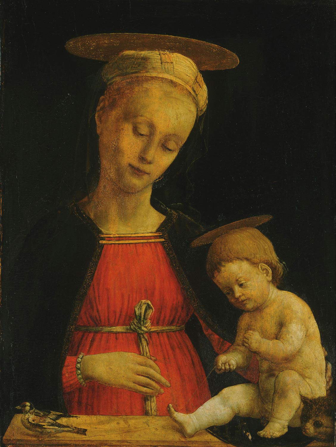 Giovanni Martino Spanzotti, Madonna col Bambino, un cardellino e un gatto (1475 circa; olio su tavola, 44 x 34,1 cm; Filadelfia, Philadelphia Museum of Art) 