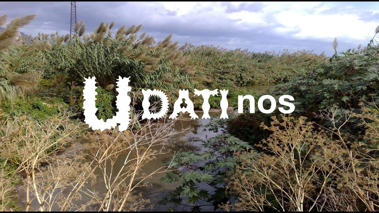 Salvatore Iaconesi y Oriana Persico, U-DATInos (2021)