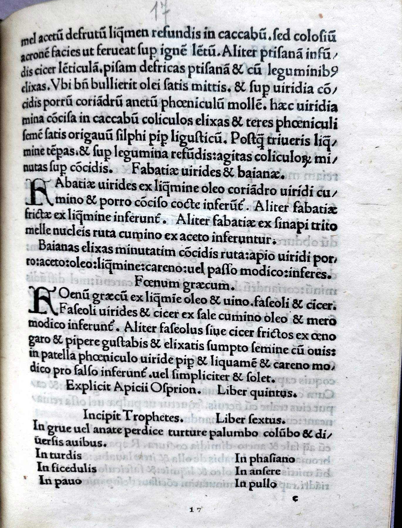 Libro Sexto sobre las aves de corral (c. 17r) Libro Sexto sobre las aves de corral (c. 17r)