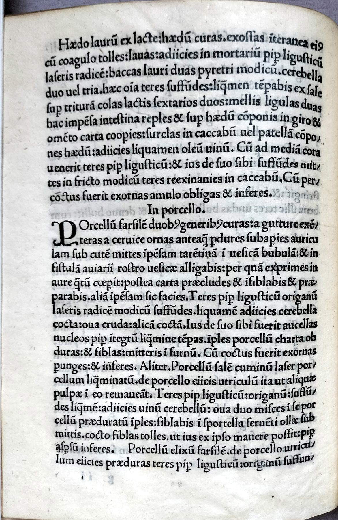 Libro octavo sobre la carne de venado, cordero y cerdo (c. 26v) Libro octavo sobre la carne de venado, cordero y cerdo (c. 26v)