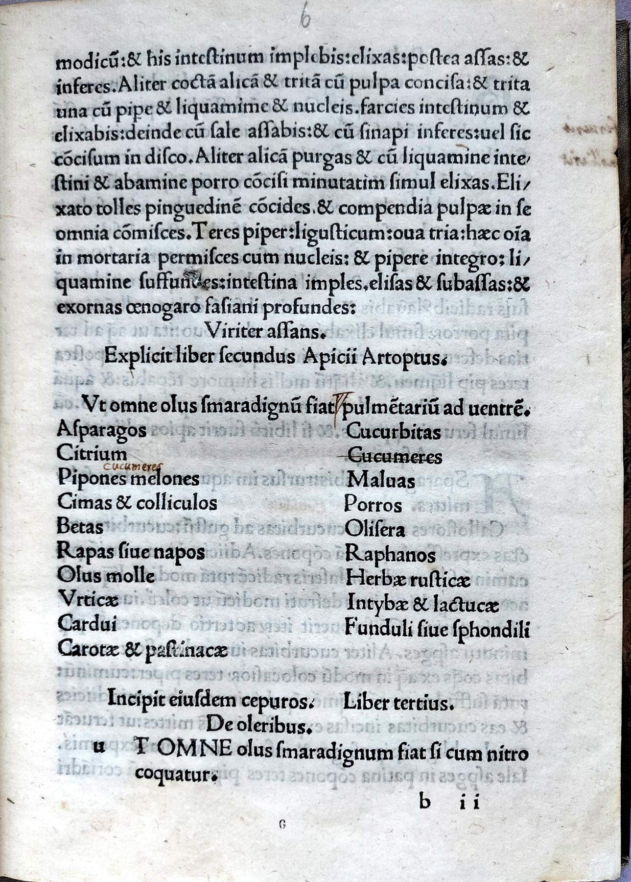 Libro tercero sobre las legumbres (cap. 6r) Libro tercero sobre las legumbres (cap. 6r)