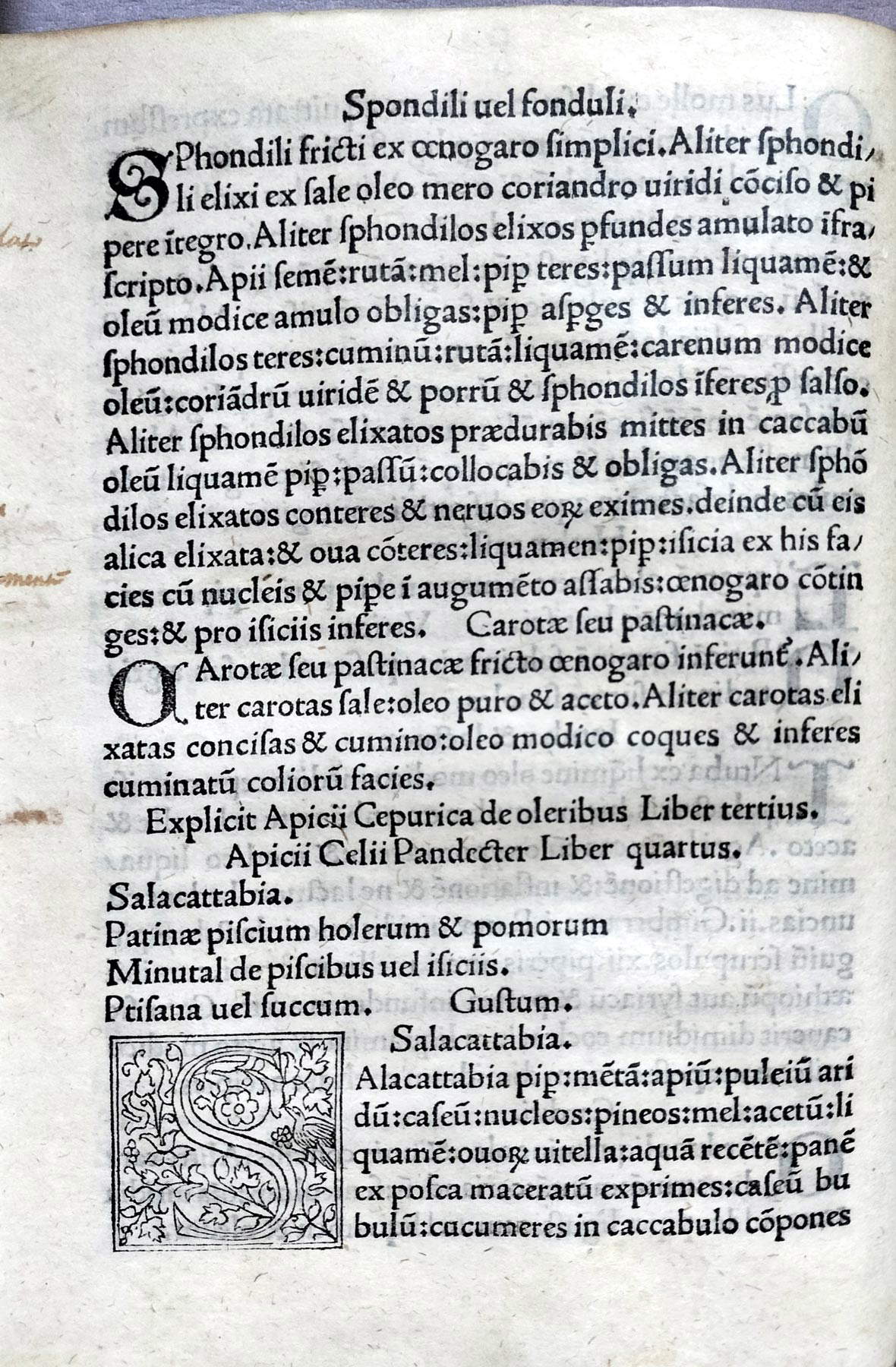 Libro cuarto con una miscelánea de recetas (c. 8v) Libro cuarto con una miscelánea de recetas (c. 8v)