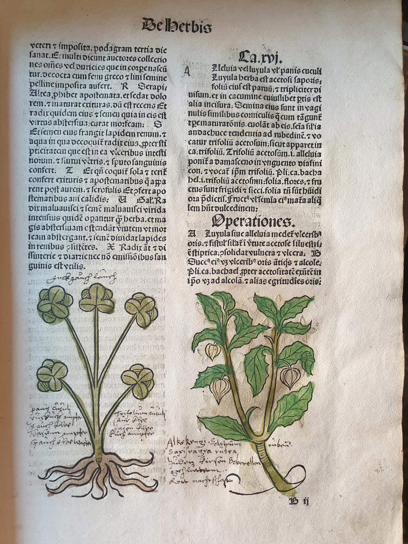 Páginas del Hortus Sanitatis Páginas del Hortus Sanitatis