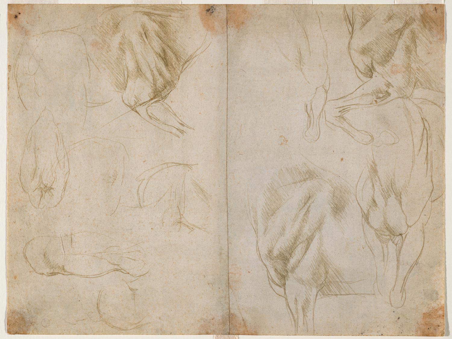 Leonardo da Vinci, Estudio de la musculatura de las patas delanteras de un caballo (c. 1480; punta de metal sobre papel preparado verde oliva claro, 217 x 287 mm; Turín, Musei Reali-Biblioteca Reale, Dis It. Scat. 1/23; 15579 d.C.) Leonardo da Vinci, Estudio de la musculatura de las patas delanteras de un caballo (c. 1480; punta de metal sobre papel preparado verde oliva claro, 217 x 287 mm; Turín, Musei Reali-Biblioteca Reale, Dis It. Scat. 1/23; 15579 d.C.)