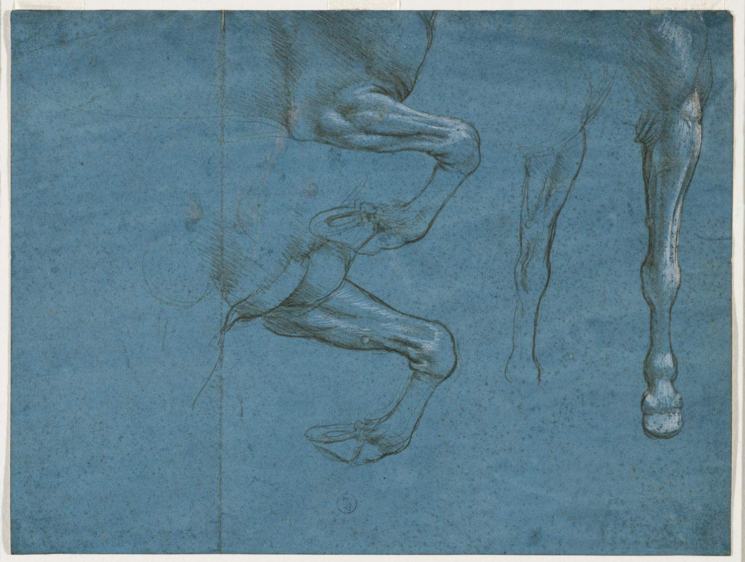 Leonardo da Vinci, Estudios de las patas delanteras de un caballo (c. 1490; punta de metal y reflejos blancos sobre papel preparado al añil, 154x205 mm; Turín, Musei Reali-Biblioteca Reale, Dis. It. Scat. 1/24; 15580 d.C.) Leonardo da Vinci, Estudios de las patas delanteras de un caballo (c. 1490; punta de metal y reflejos blancos sobre papel preparado al añil, 154x205 mm; Turín, Musei Reali-Biblioteca Reale, Dis. It. Scat. 1/24; 15580 d.C.)