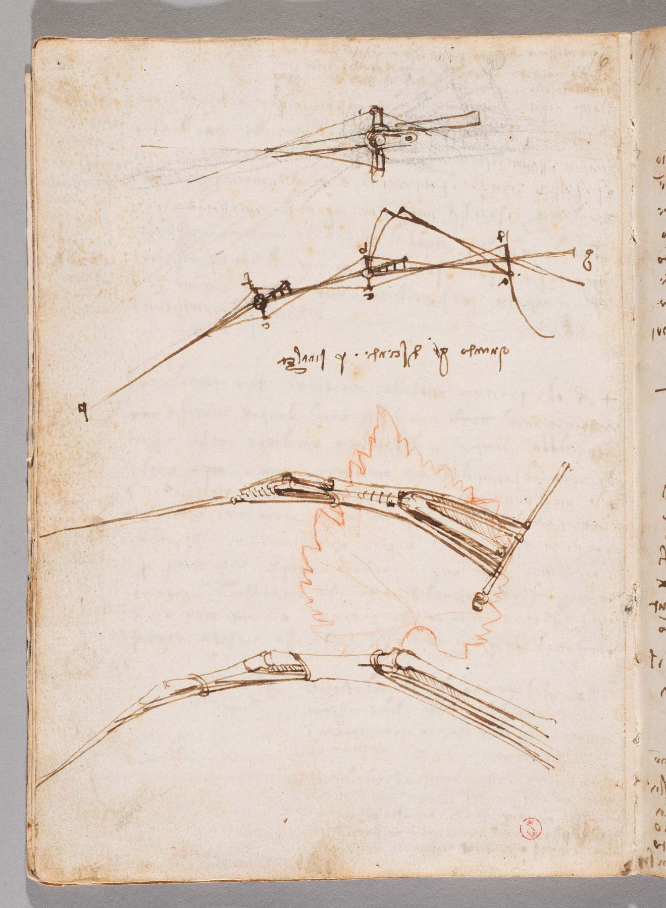 Leonardo da Vinci, Códice sobre el vuelo de los pájaros, f. 11v (c. 1505; manuscrito en papel con dibujos a pluma y tinta parda; piedra roja, trazas de piedra negra, In 4°, 213 x 154 mm; Turín, Musei Reali-Biblioteca Reale, Varia 95) Leonardo da Vinci, Códice sobre el vuelo de los pájaros, f. 11v (c. 1505; manuscrito en papel con dibujos a pluma y tinta parda; piedra roja, trazas de piedra negra, In 4°, 213 x 154 mm; Turín, Musei Reali-Biblioteca Reale, Varia 95)