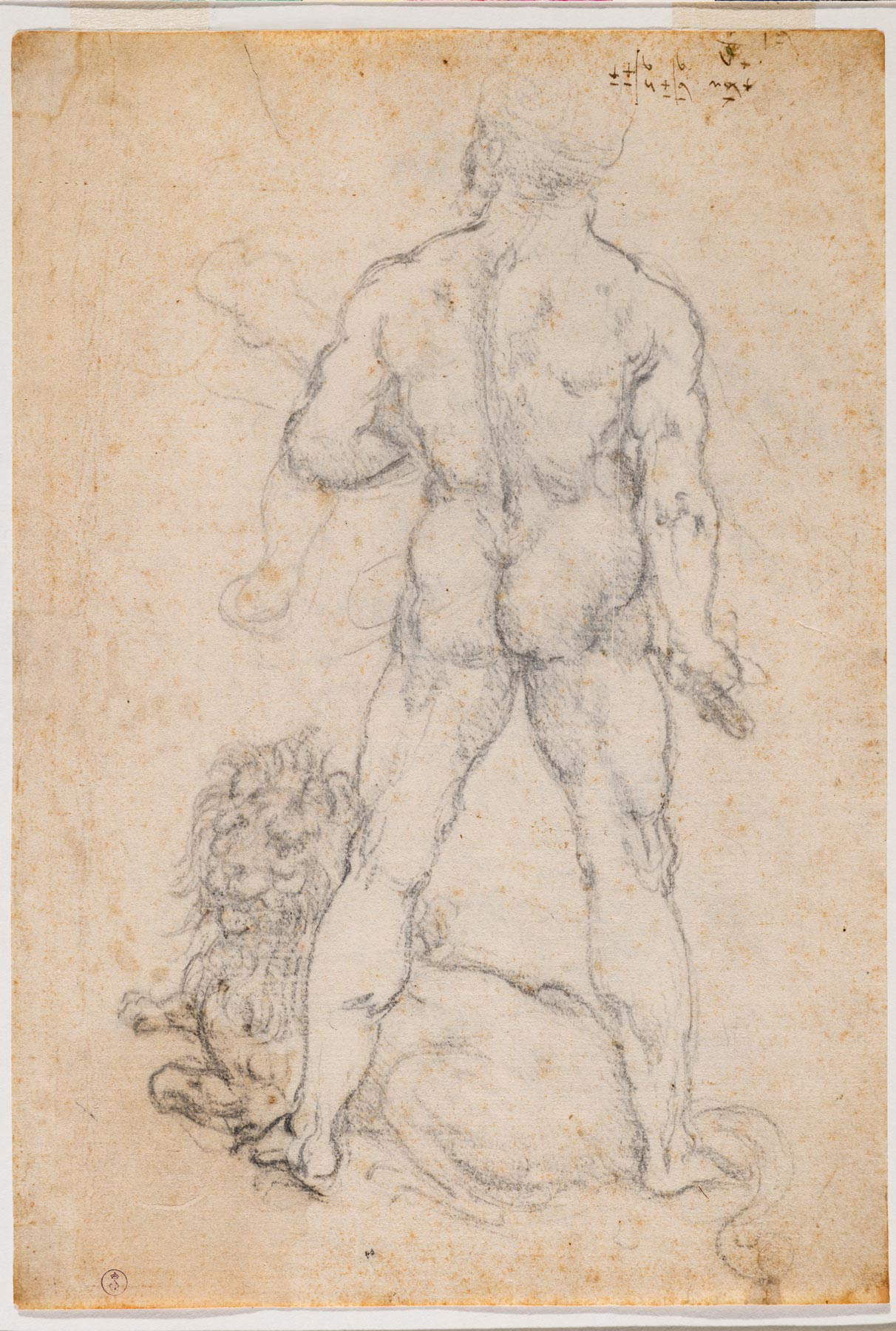 Leonardo da Vinci, Hércules con el león de Nemea (c. 1506-1508; carboncillo y punta de metal sobre papel, 280 x 190 mm; Turín, Musei Reali-Biblioteca Reale, Dis It. Scat. 2/58; 15630 d.C.) Leonardo da Vinci, Hércules con el león de Nemea (c. 1506-1508; carboncillo y punta de metal sobre papel, 280 x 190 mm; Turín, Musei Reali-Biblioteca Reale, Dis It. Scat. 2/58; 15630 d.C.)