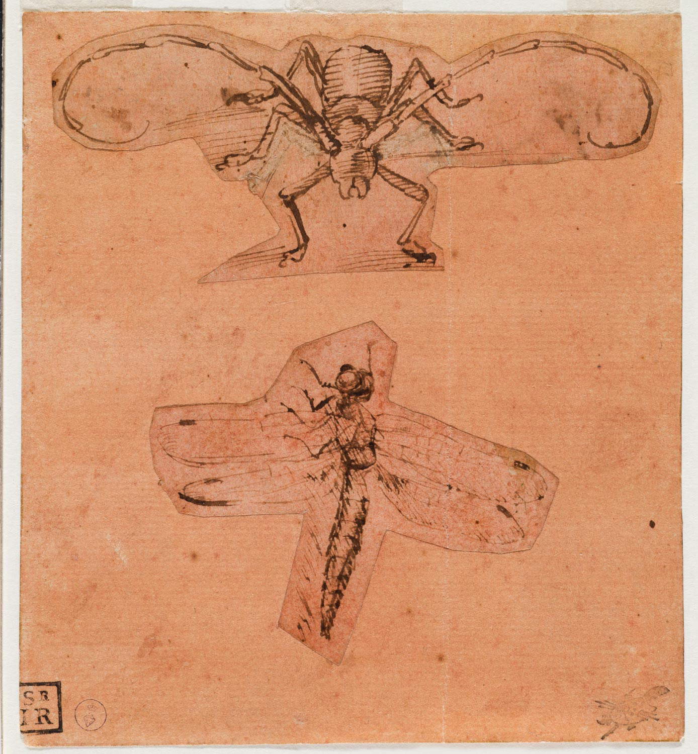 Leonardo da Vinci, Estudios de insectos (c. 1480-1490 dibujo superior, c. 1503-1505 dibujo inferior; pluma y tinta sobre papel preparado rojo, 129 x 118 mm; Turín, Musei Reali-Biblioteca Reale, Dis. It. Scat. 1/22; 15581 d.C.) Leonardo da Vinci, Estudios de insectos (c. 1480-1490 dibujo superior, c. 1503-1505 dibujo inferior; pluma y tinta sobre papel preparado rojo, 129 x 118 mm; Turín, Musei Reali-Biblioteca Reale, Dis. It. Scat. 1/22; 15581 d.C.)