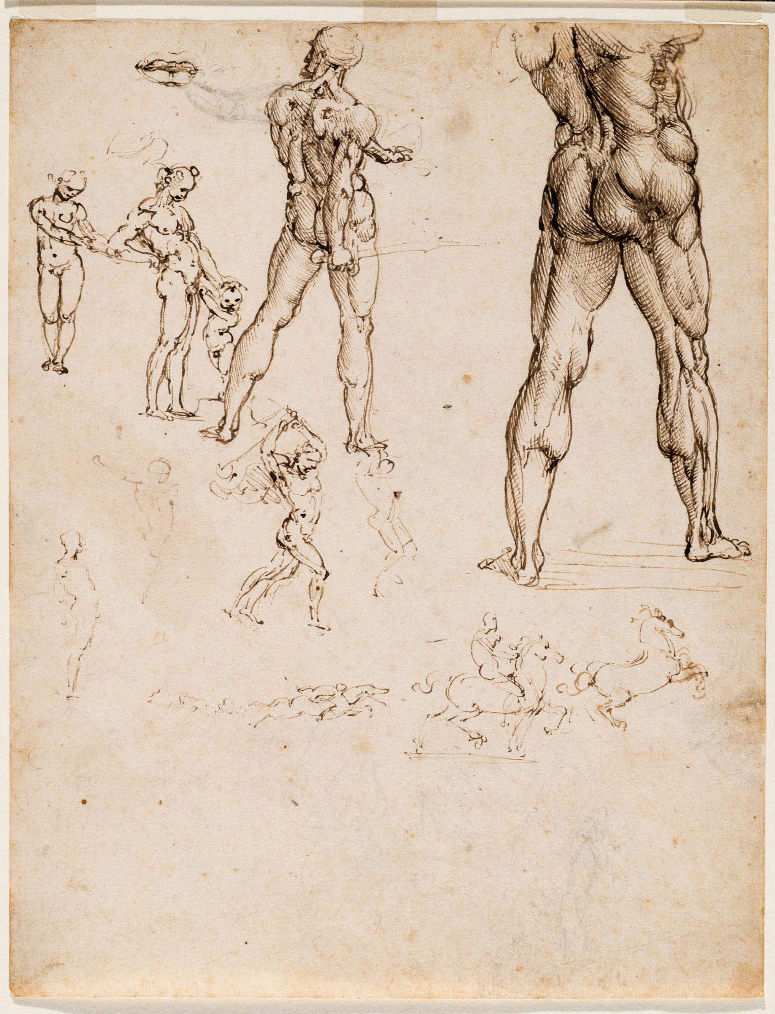 Leonardo da Vinci, Nudi per la Battaglia di Anghiari e altri studi di figura (c. 1505-1508; pluma, tinta parda y trazos de carboncillo sobre papel; 255 x 198 mm; Turín, Musei Reali-Biblioteca Reale, Dis. It. Scat. 1/28; 15577 d.C.) Leonardo da Vinci, Nudi per la Battaglia di Anghiari e altri studi di figura (c. 1505-1508; pluma, tinta parda y trazos de carboncillo sobre papel; 255 x 198 mm; Turín, Musei Reali-Biblioteca Reale, Dis. It. Scat. 1/28; 15577 d.C.)