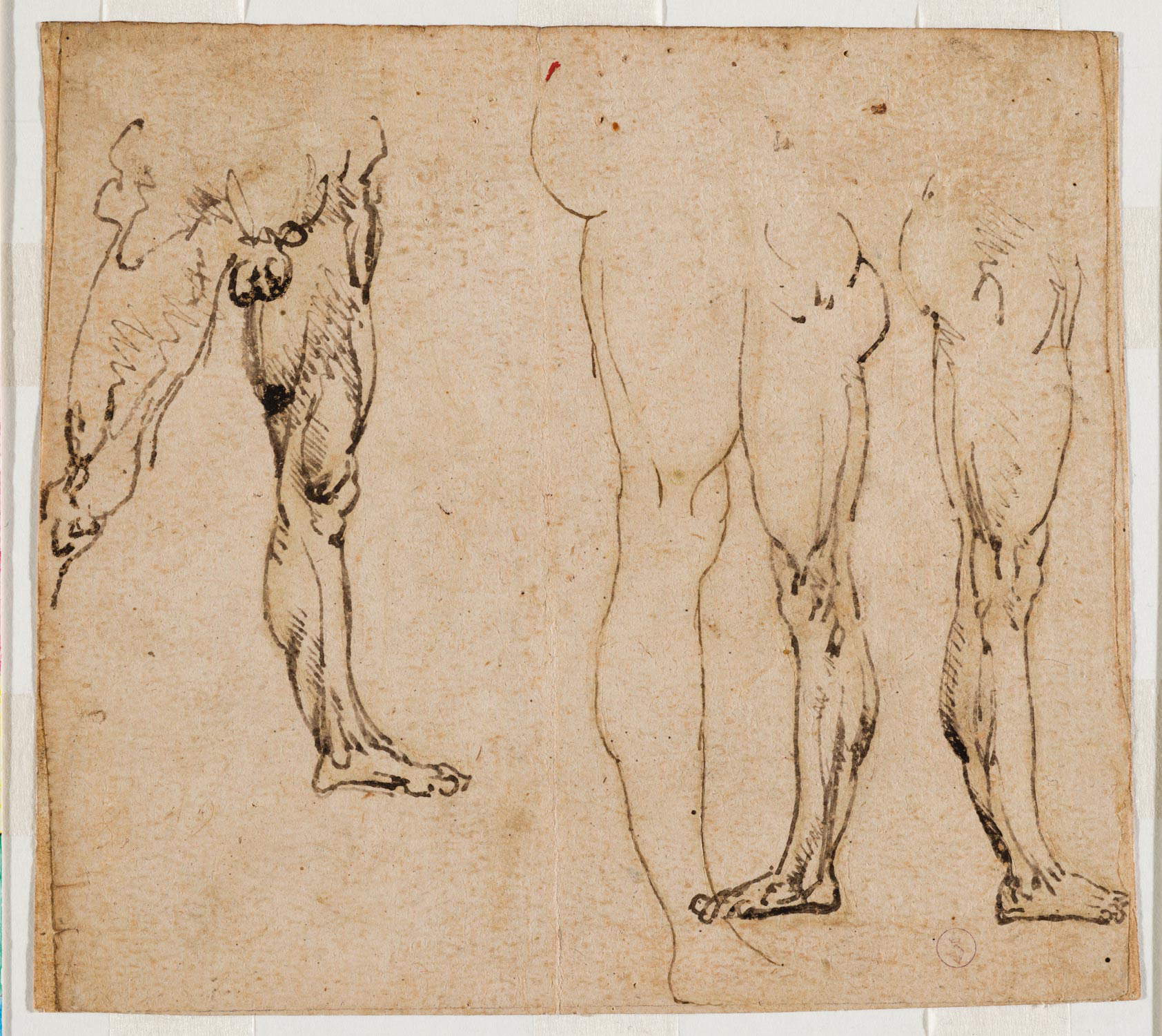 L'Arte del Disegno - Leonardo da Vinci - Testa virile di profilo