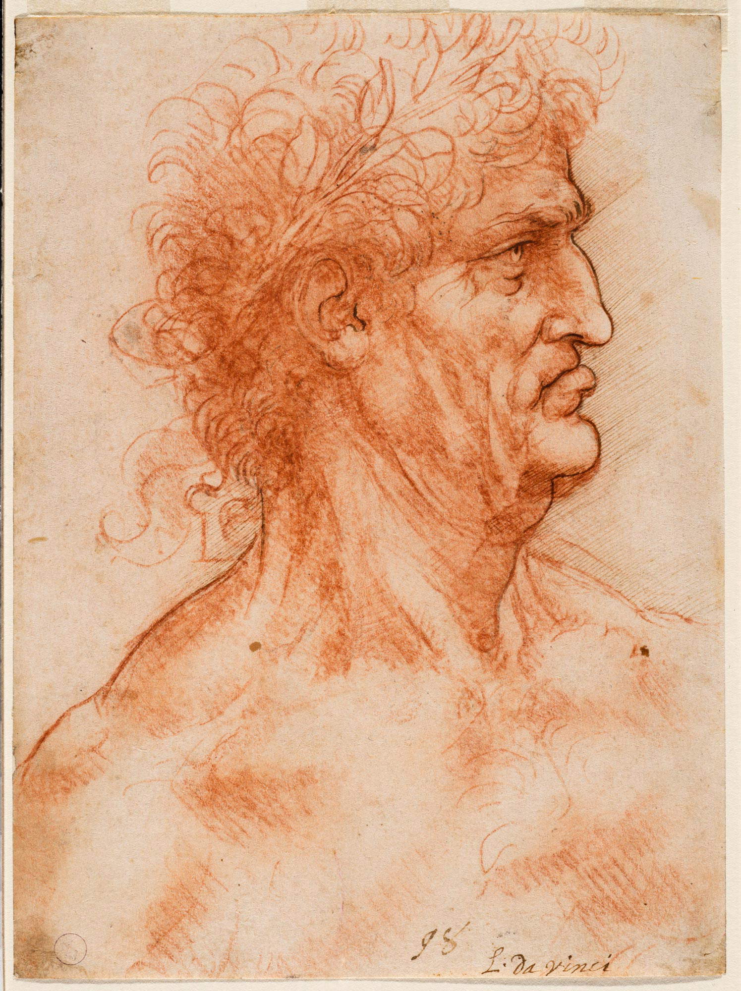 Leonardo da Vinci, Cabeza de hombre de perfil coronada de laurel (c. 1506-1510; piedra roja con contornos de pluma sobre papel, 168 x 125 mm; Turín, Musei Reali-Biblioteca Reale, Dis It. Scat. 1/29; 15575 d.C.) Leonardo da Vinci, Cabeza de hombre de perfil coronada de laurel (c. 1506-1510; piedra roja con contornos de pluma sobre papel, 168 x 125 mm; Turín, Musei Reali-Biblioteca Reale, Dis It. Scat. 1/29; 15575 d.C.)