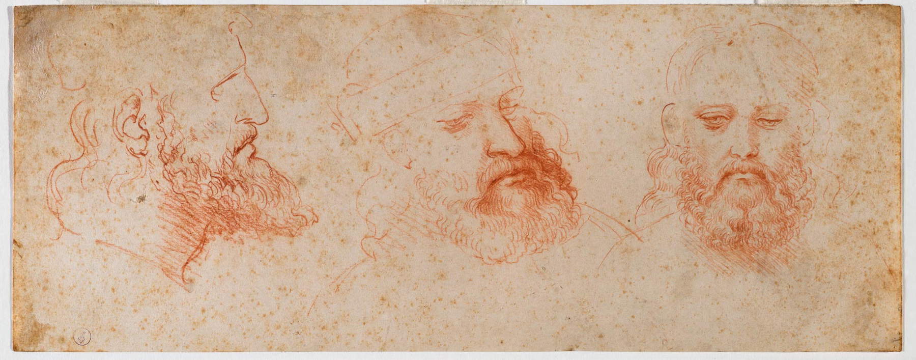 Leonardo da Vinci, presunto autoritratto, 1512, disegno a sanguigna su  carta, ora Biblioteca Reale (Torino).