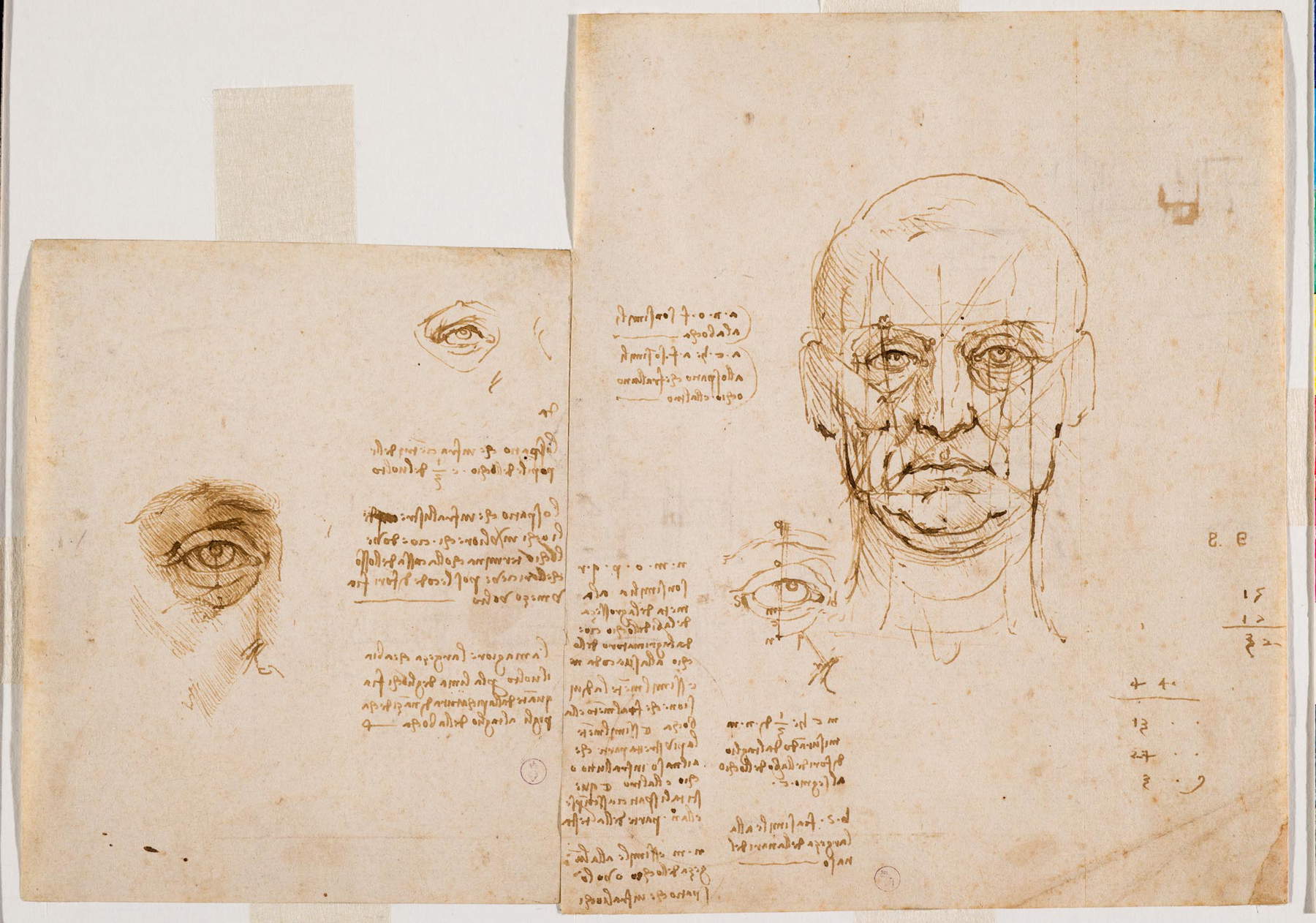 Leonardo da Vinci, Estudio de las proporciones del rostro y del ojo (c. 1489-1490; pluma y tinta marrón, punta metálica sobre papel; 197x159 mm el dibujo de la derecha, 144x117 mm el dibujo de la izquierda; Turín, Musei Reali-Biblioteca Reale; Dis. It. Scat. 1/20-21; 15574 y 15576 d.C.) Leonardo da Vinci, Estudio de las proporciones del rostro y del ojo (c. 1489-1490; pluma y tinta marrón, punta metálica sobre papel; 197x159 mm el dibujo de la derecha, 144x117 mm el dibujo de la izquierda; Turín, Musei Reali-Biblioteca Reale; Dis. It. Scat. 1/20-21; 15574 y 15576 d.C.)
