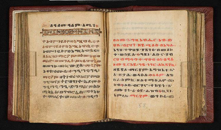 Pagine del codice MS 37