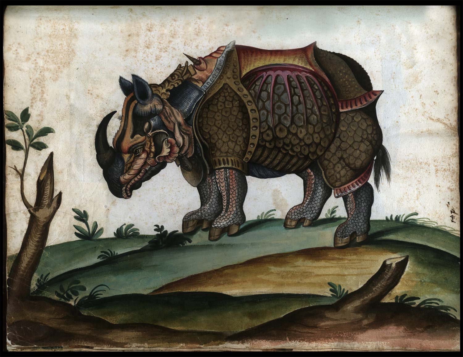 Anonimo, Continet picturas diligentissimas avium, quadrupedum, piscium, aliorum animalium (1584-1590; manoscritto cartaceo; Roma, Biblioteca Universitaria Alessandrina, Ms. 2, f. 241r)