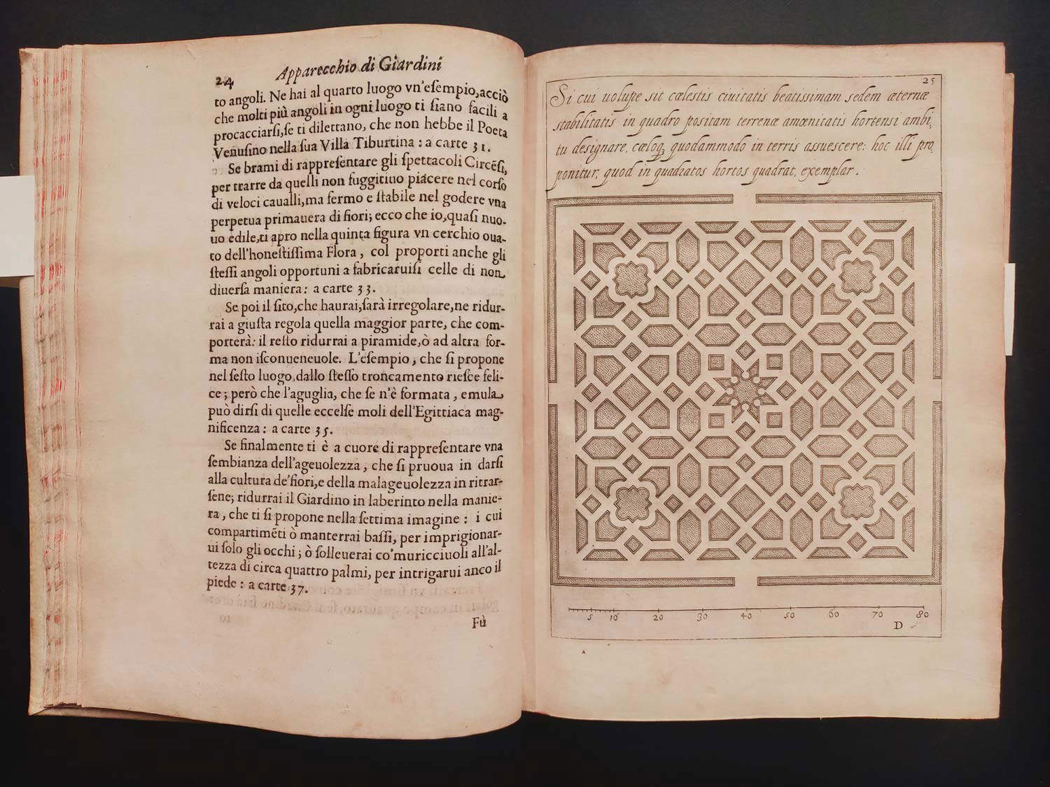 Flora ouero cultivo de flores por el P. Gio Battista Ferrari Sanese