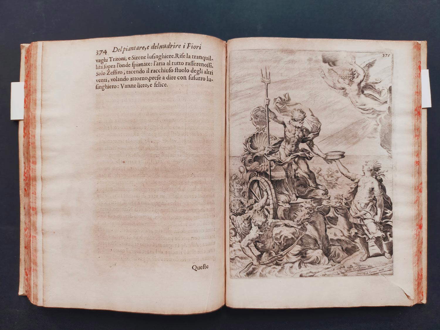 Flora ouero cultivo de flores por el P. Gio Battista Ferrari Sanese