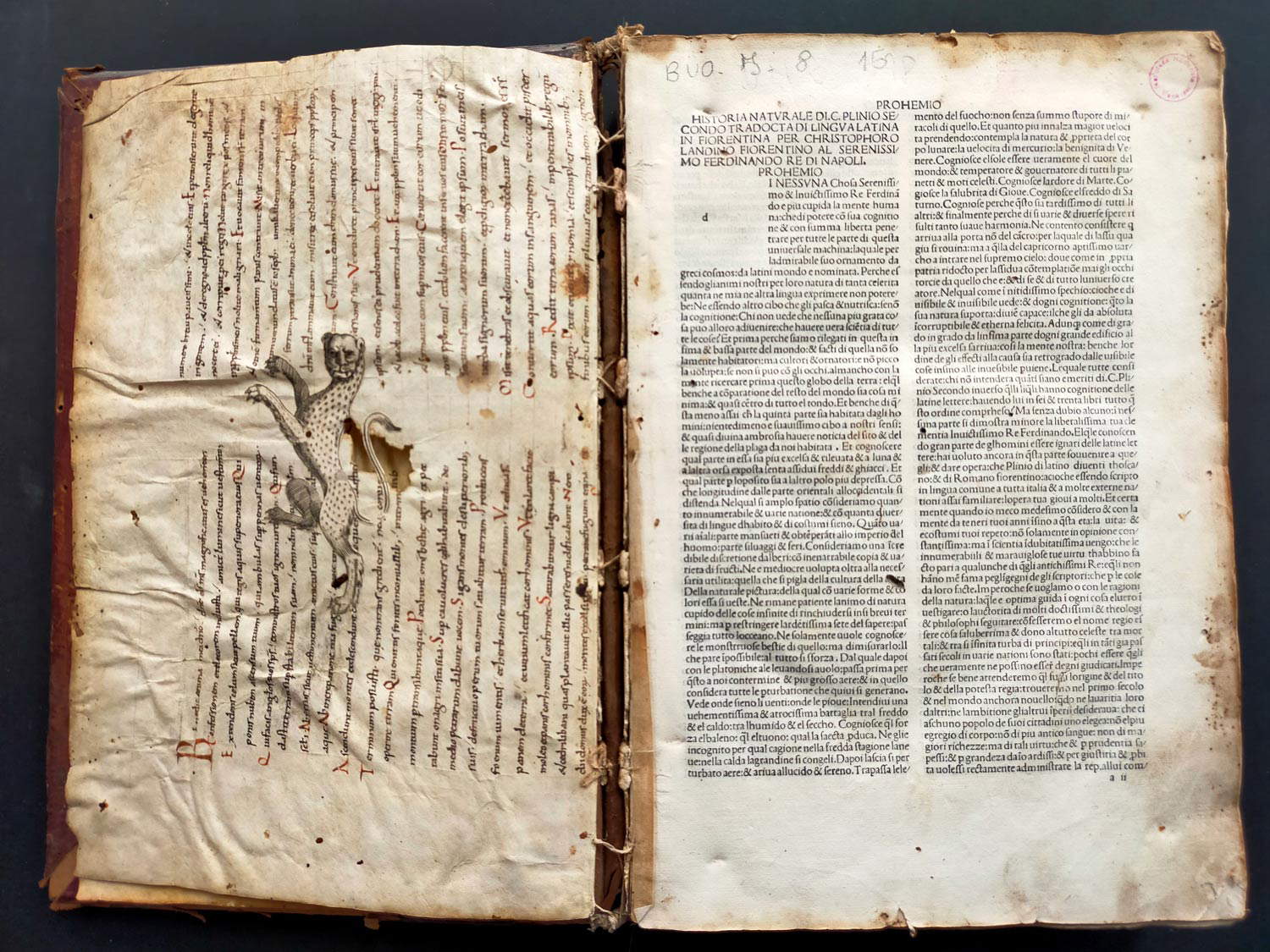 Historia natural de. C. Plinio segundo tradocta di lingua latina in fiorentina per Christophoro Landino fiorentino