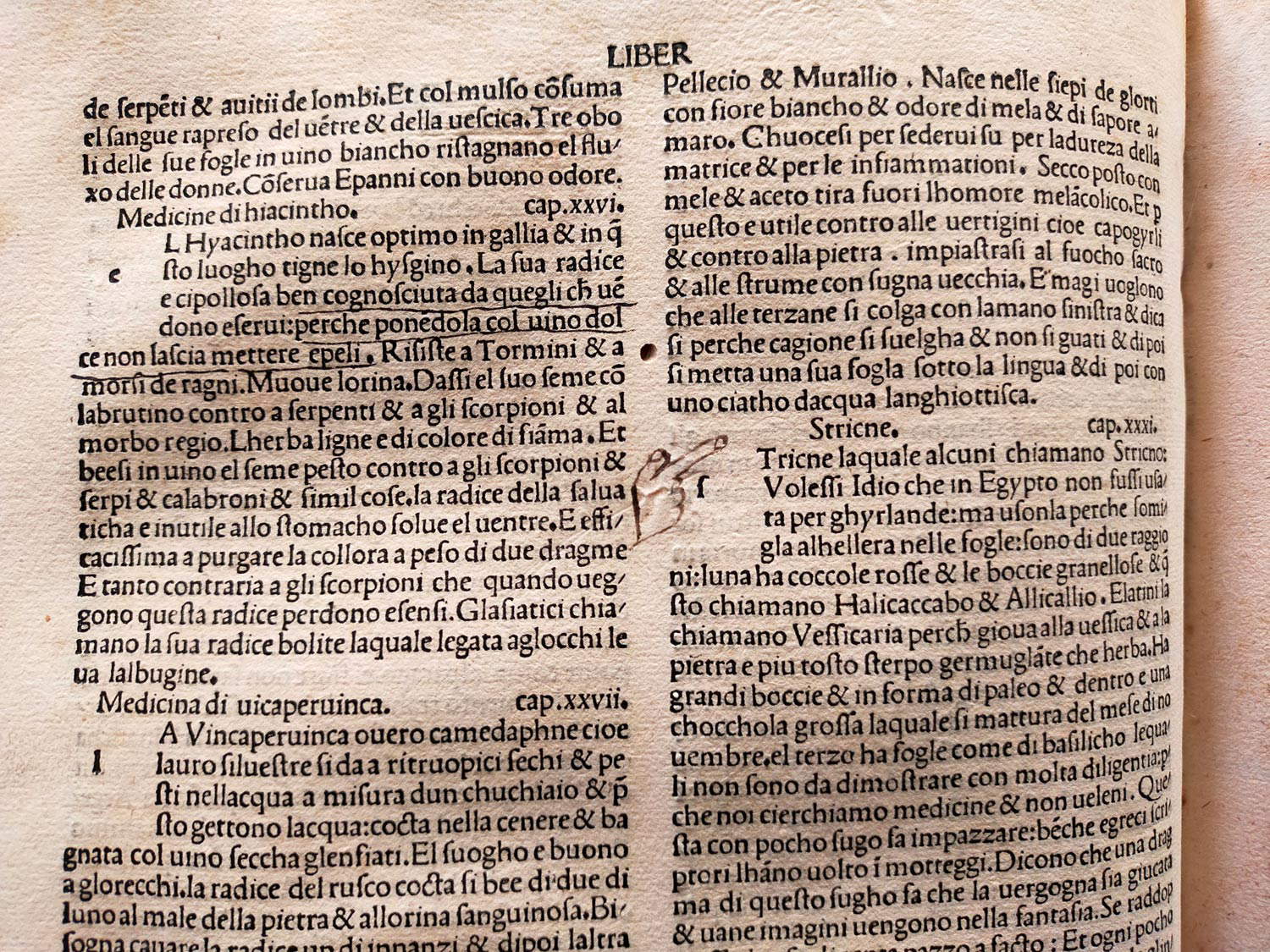 Historia natural de. C. Plinio segundo tradocta di lingua latina in fiorentina per Christophoro Landino fiorentino