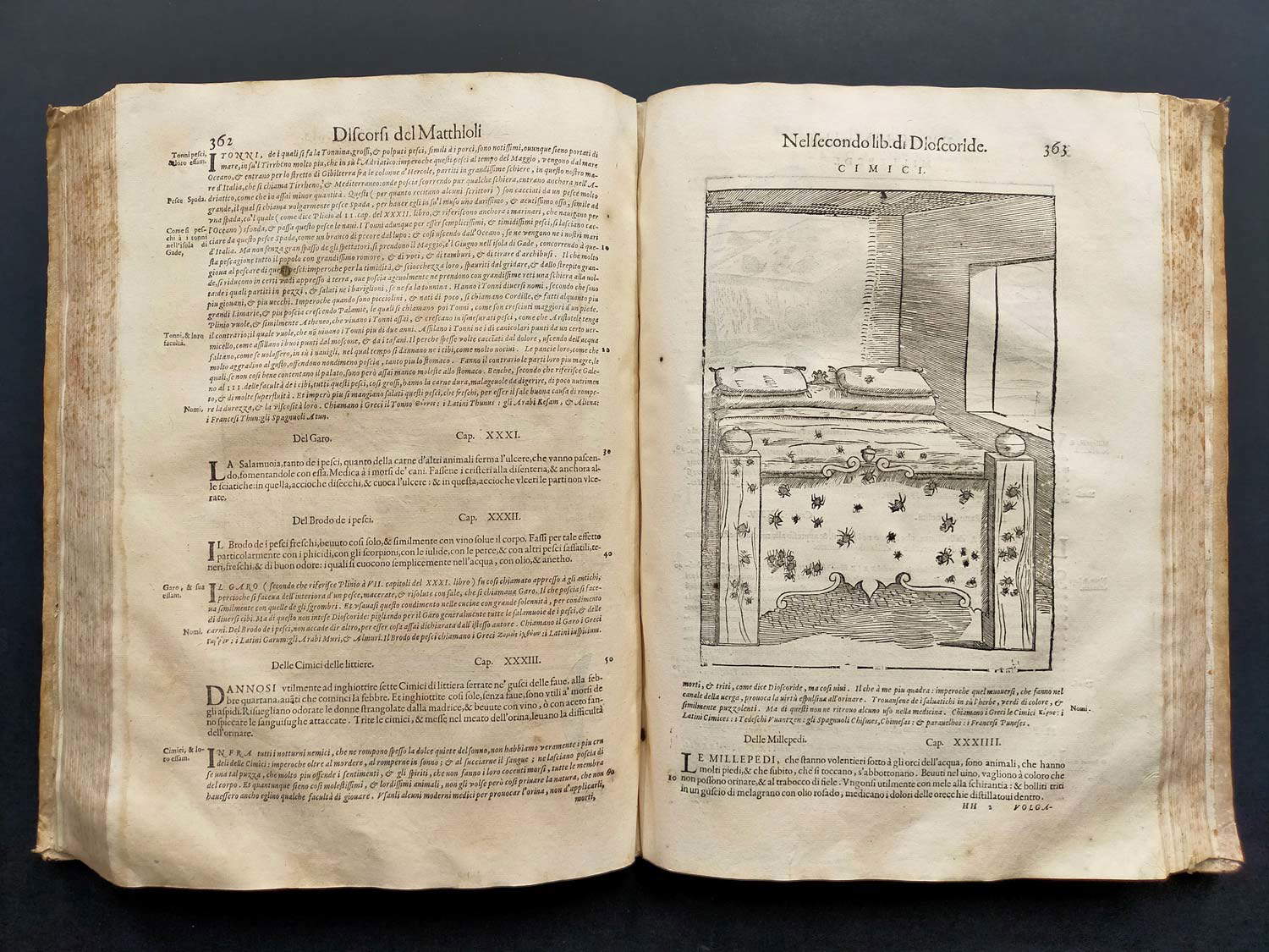 De las intervenciones de M. Pietro Andrea Matthioli de San Marino