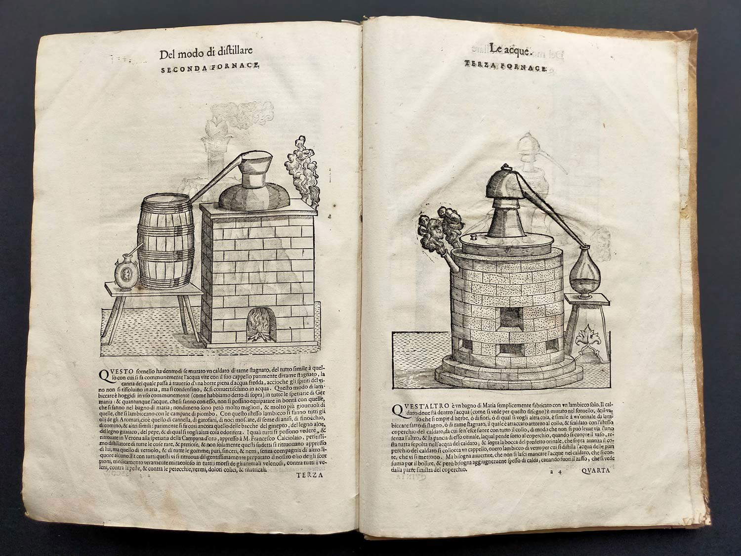 De las intervenciones de M. Pietro Andrea Matthioli de San Marino