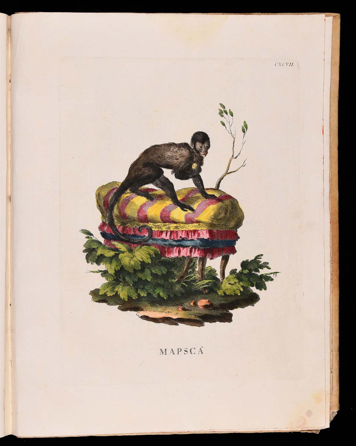 Animales cuadrúpedos del natural dibujados, grabados e iluminados