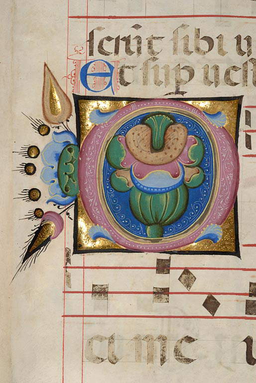 Girolamo da Cremona und Mitarbeiter, erstes Detail O (Padua, Biblioteca Statale S. Giustina, ms 2, f. 63r)
