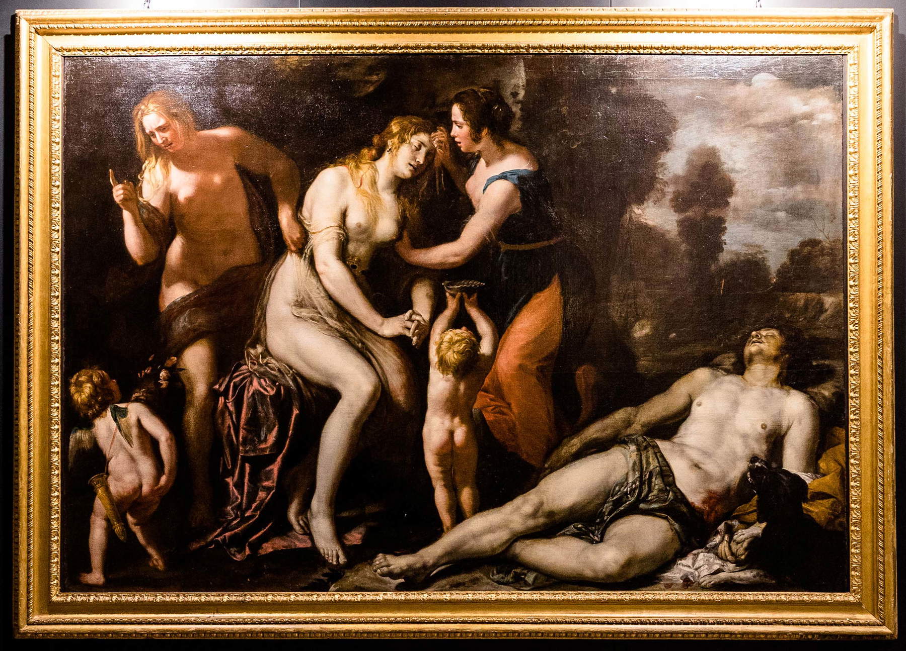 Domenico Fiasella, Morte di Adone (1626-1628 circa; olio su tela, 200 x 280 cm; Collezione privata) Domenico Fiasella, Morte di Adone (1626-1628 circa; olio su tela, 200 x 280 cm; Collezione privata)