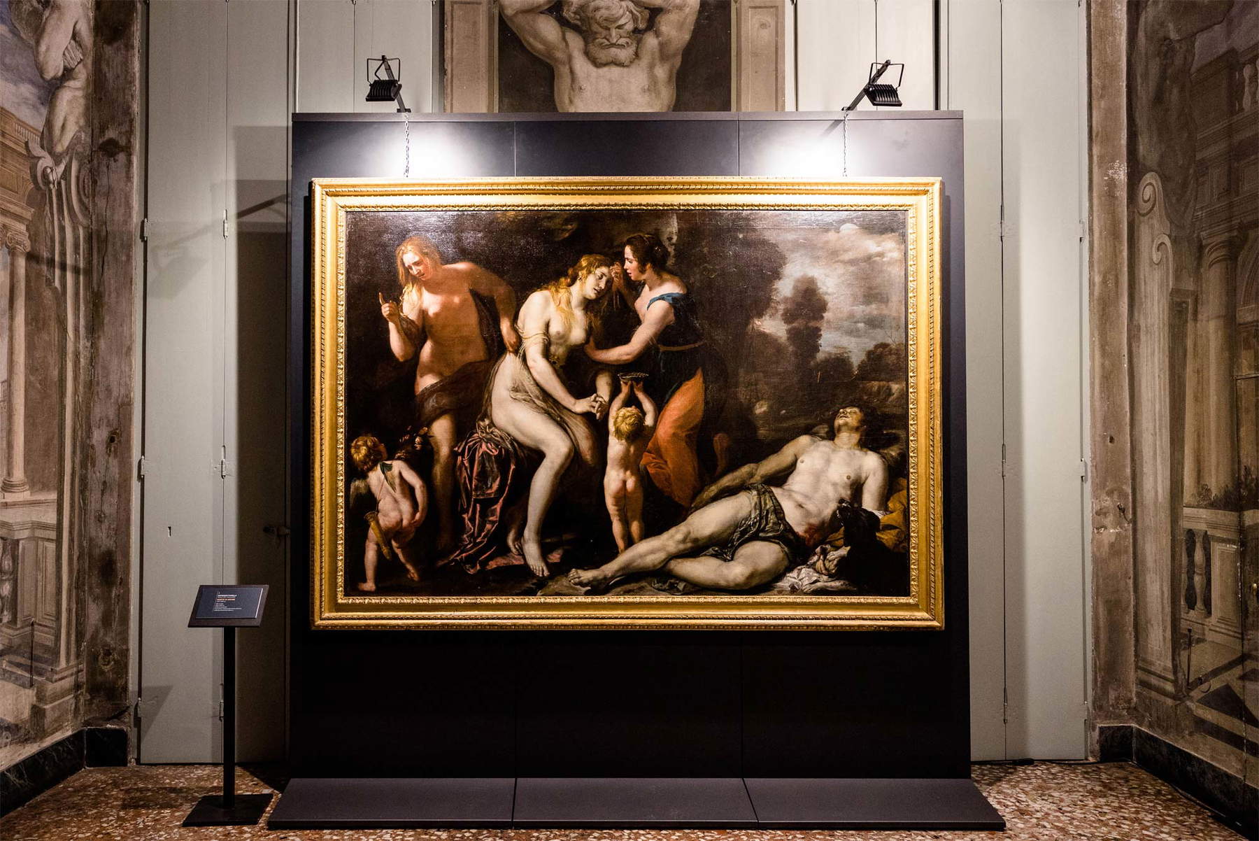 Senza Tempo. Dialogo tra Fiasella e i pittori di Palazzo Negrone, veduta della mostra Senza Tempo. Dialogo tra Fiasella e i pittori di Palazzo Negrone, veduta della mostra