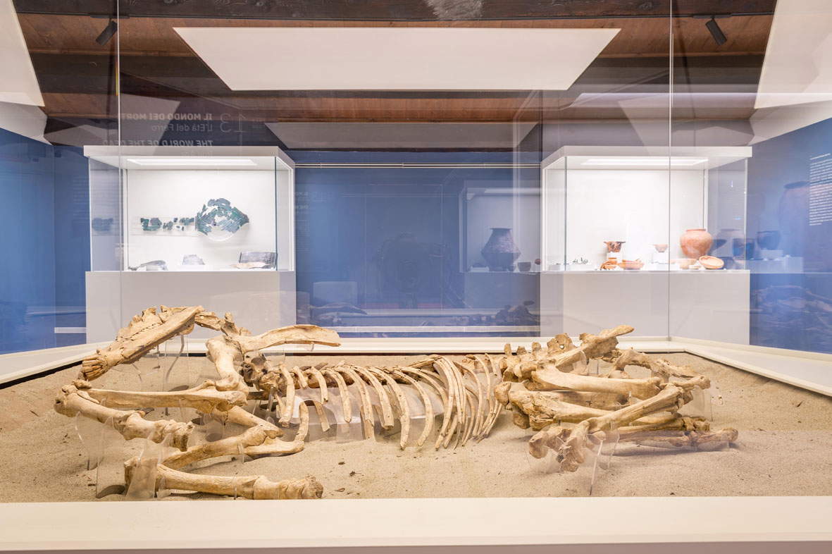Die neuen Räume des Archäologischen Nationalmuseums in Verona. Foto: Gianluca Stradiotto Die neuen Räume des Archäologischen Nationalmuseums in Verona. Foto: Gianluca Stradiotto
