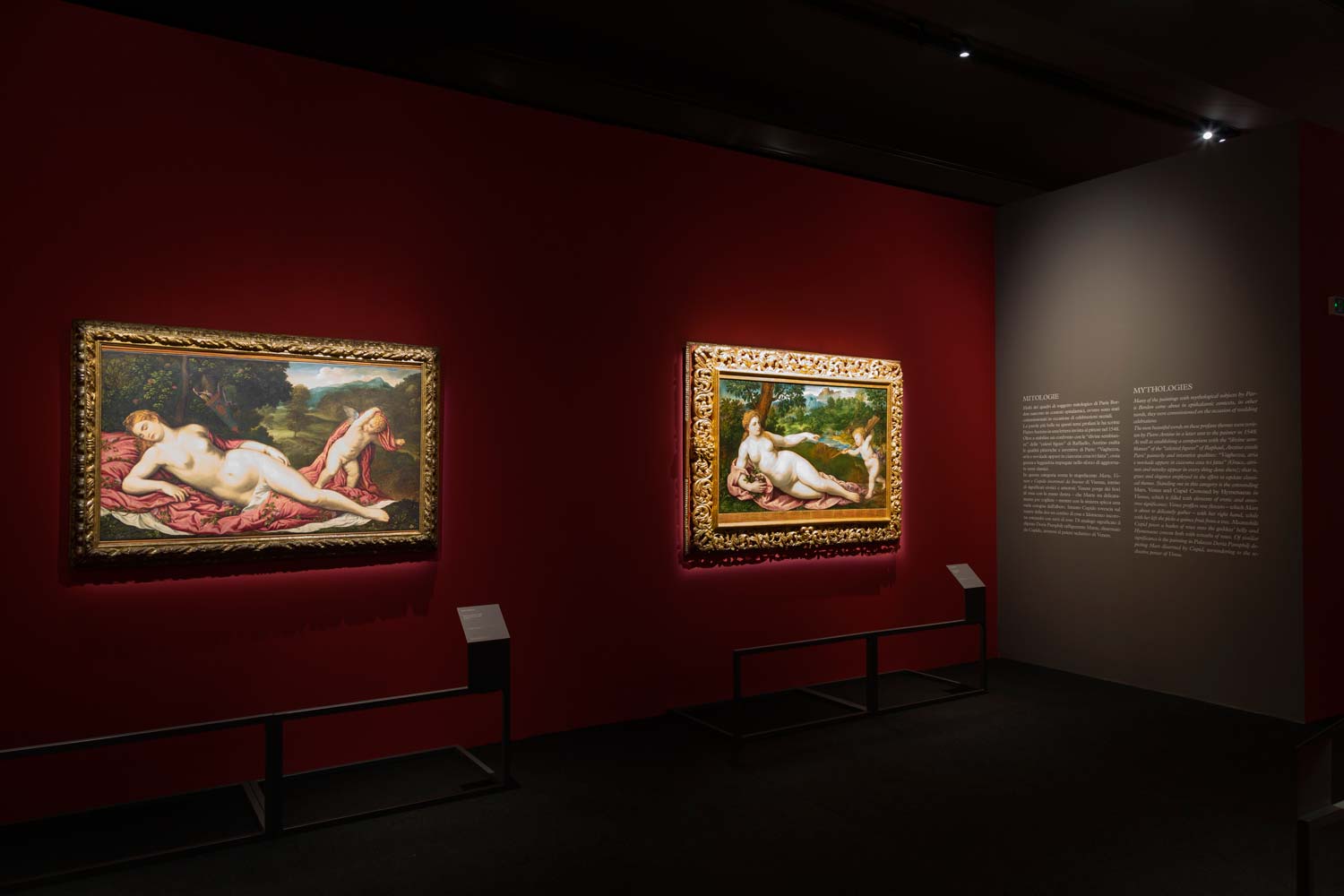 Allestimenti della mostra Paris Bordon. Pittore divino. Foto di Luca Zanon