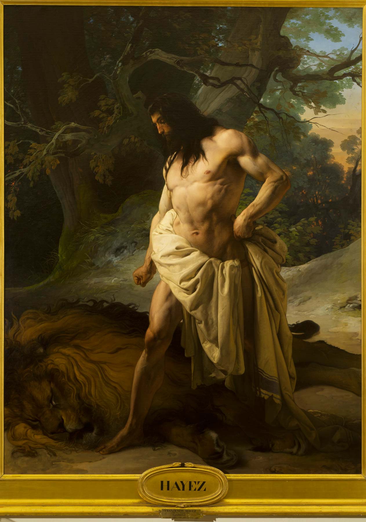 Francesco Hayez, Sansone uccide un leone (1842; olio su tela, 213 x 164 cm; Firenze, Galleria d' Arte Moderna di Palazzo Pitti) Francesco Hayez, Sansone uccide un leone (1842; olio su tela, 213 x 164 cm; Firenze, Galleria d' Arte Moderna di Palazzo Pitti)