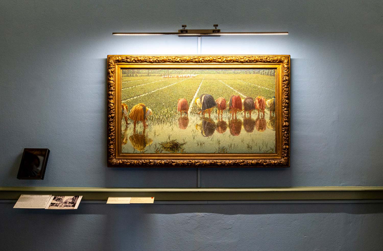 L'opera al Museo Borgogna di Vercelli L'opera al Museo Borgogna di Vercelli