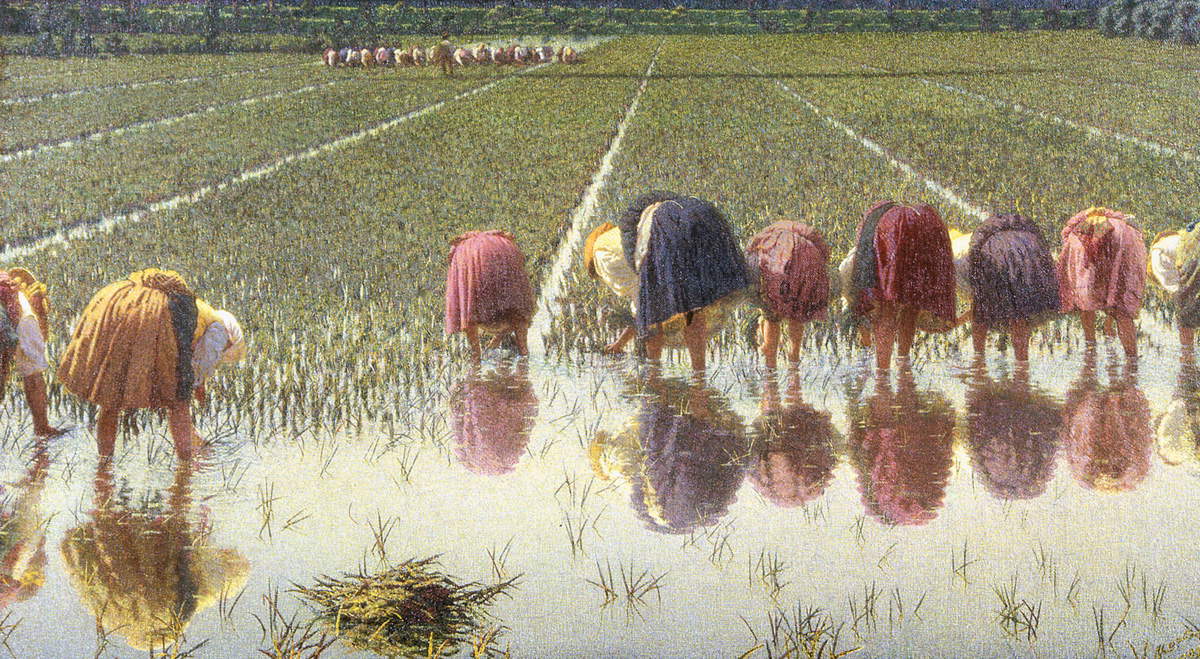 Angelo Morbelli, Per ottanta centesimi! (1895-1897; olio su tela firmato e datato, 67,5 x 121,5 cm; Vercelli, Museo Borgogna) Angelo Morbelli, Per ottanta centesimi! (1895-1897; olio su tela firmato e datato, 67,5 x 121,5 cm; Vercelli, Museo Borgogna)