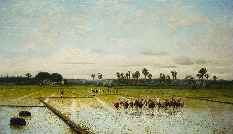 Luigi Steffani, Una risaia (1864; olio su tela, 92 x 158,5 cm; Milano, Galleria d'Arte Moderna) Luigi Steffani, Una risaia (1864; olio su tela, 92 x 158,5 cm; Milano, Galleria d'Arte Moderna)