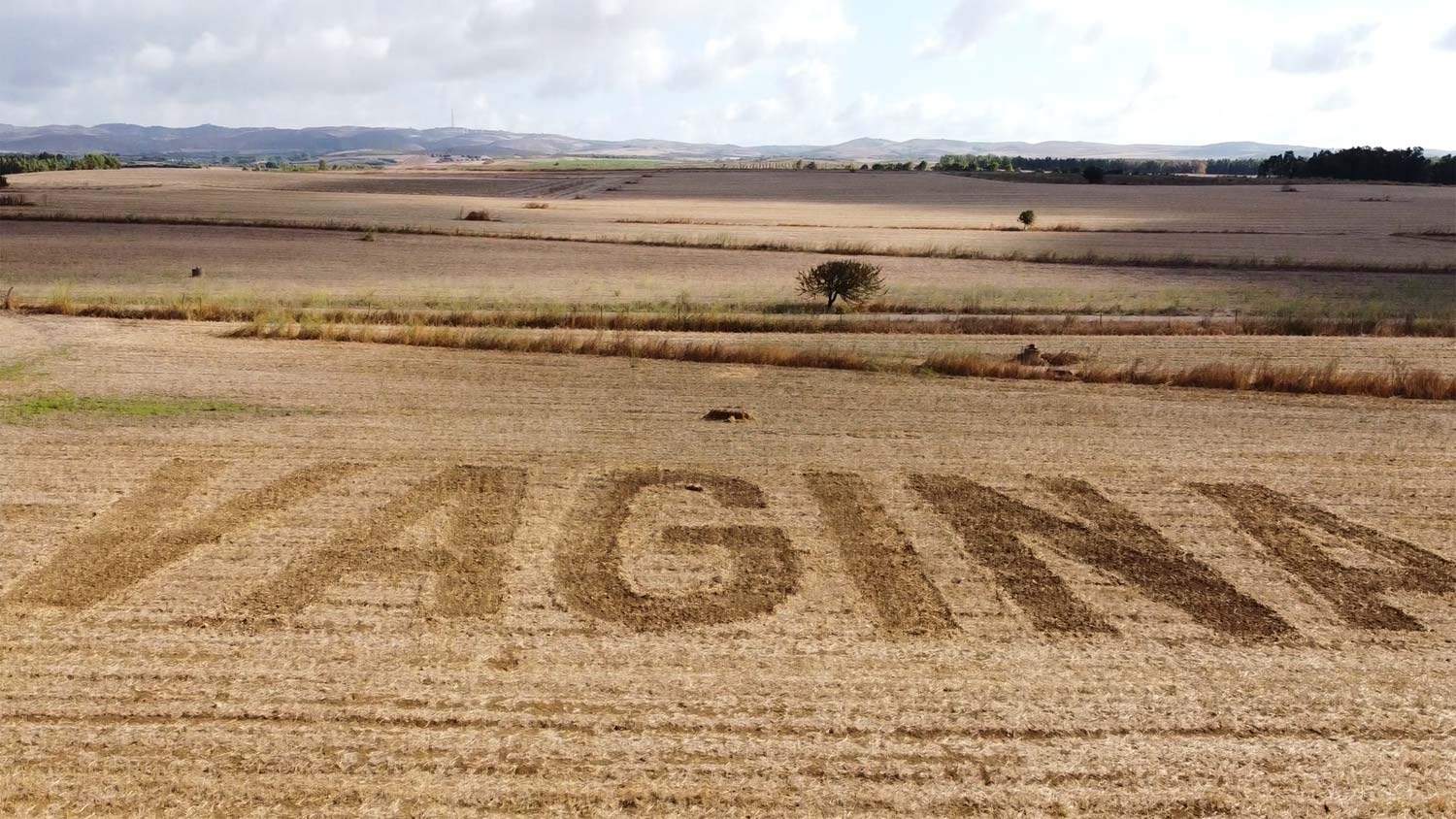 Sardinia, artist creates huge VAGINA writing in a field