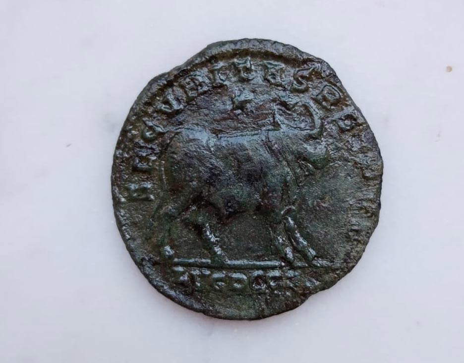 Moneta in bronzo di Giuliano con il toro Api dalla Villa romana del Varignano Moneta in bronzo di Giuliano con il toro Api dalla Villa romana del Varignano