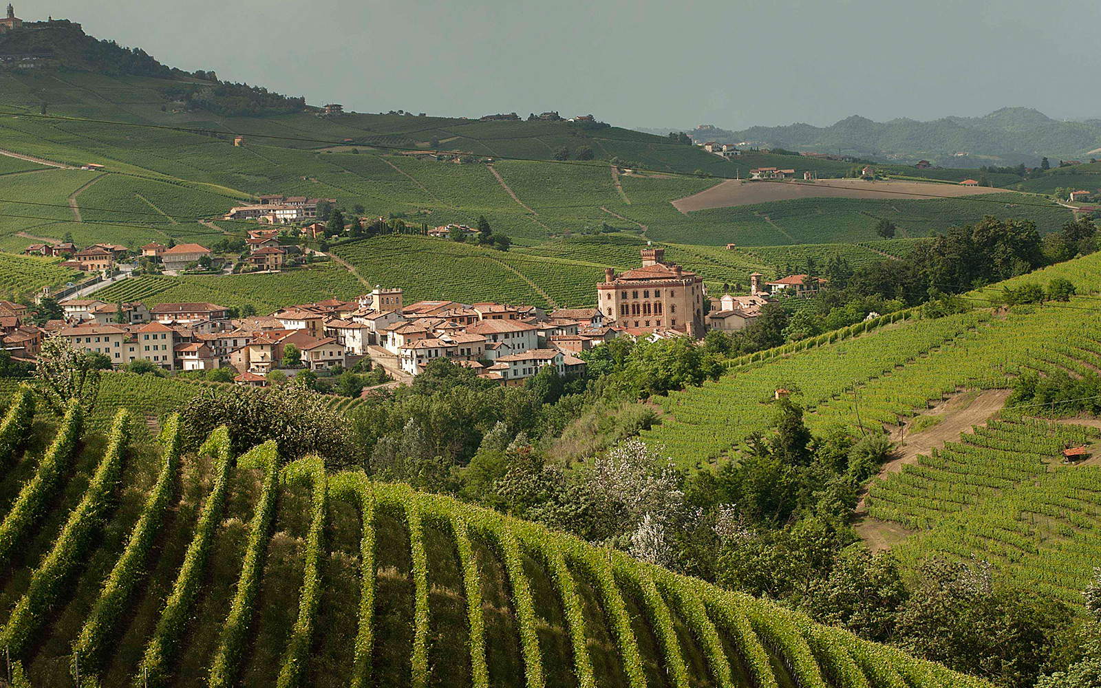 Le village de Barolo. Photo Association pour le patrimoine des paysages viticoles des Langhe-Roero et du Monferrato Le village de Barolo. Photo Association pour le patrimoine des paysages viticoles des Langhe-Roero et du Monferrato