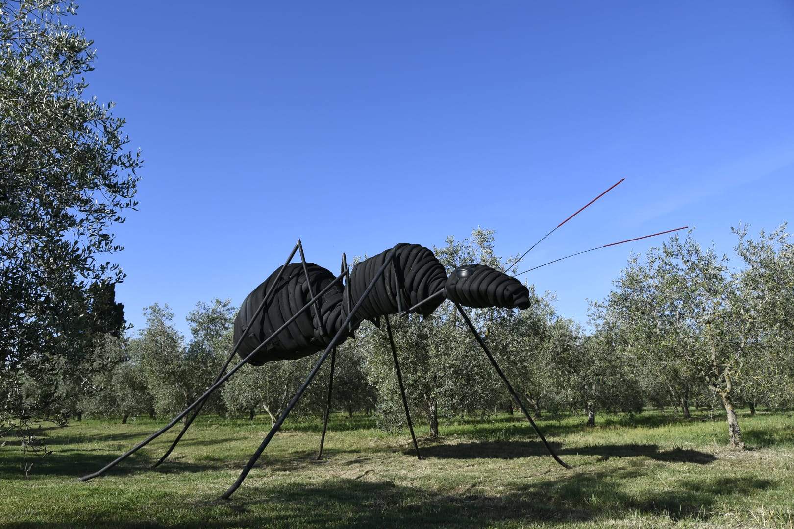The second edition of the Biennale of Discard starts in Maremma