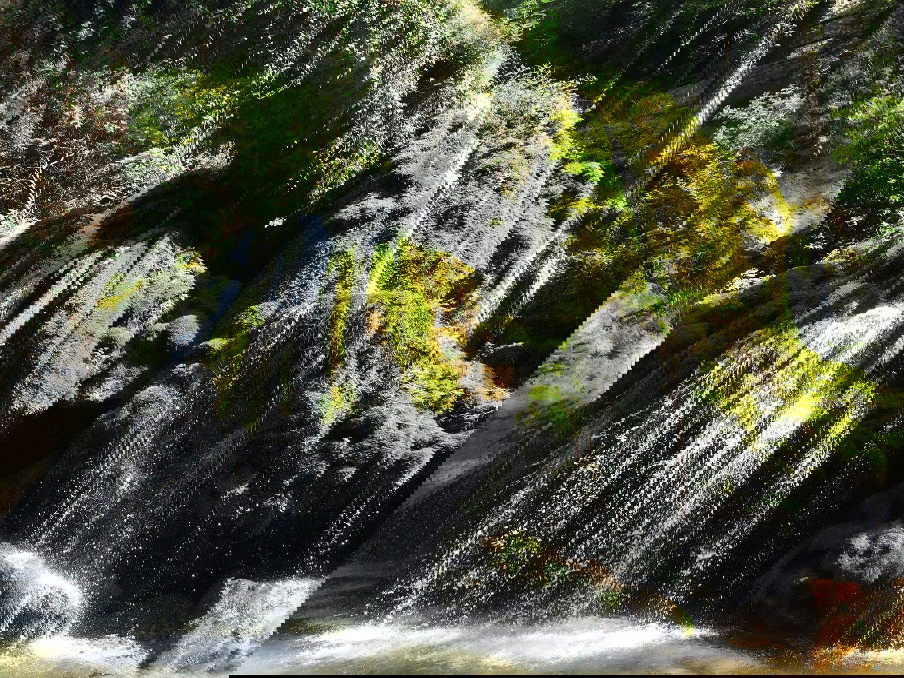 The waterfall of Venus' hair The waterfall of Venus' hair
