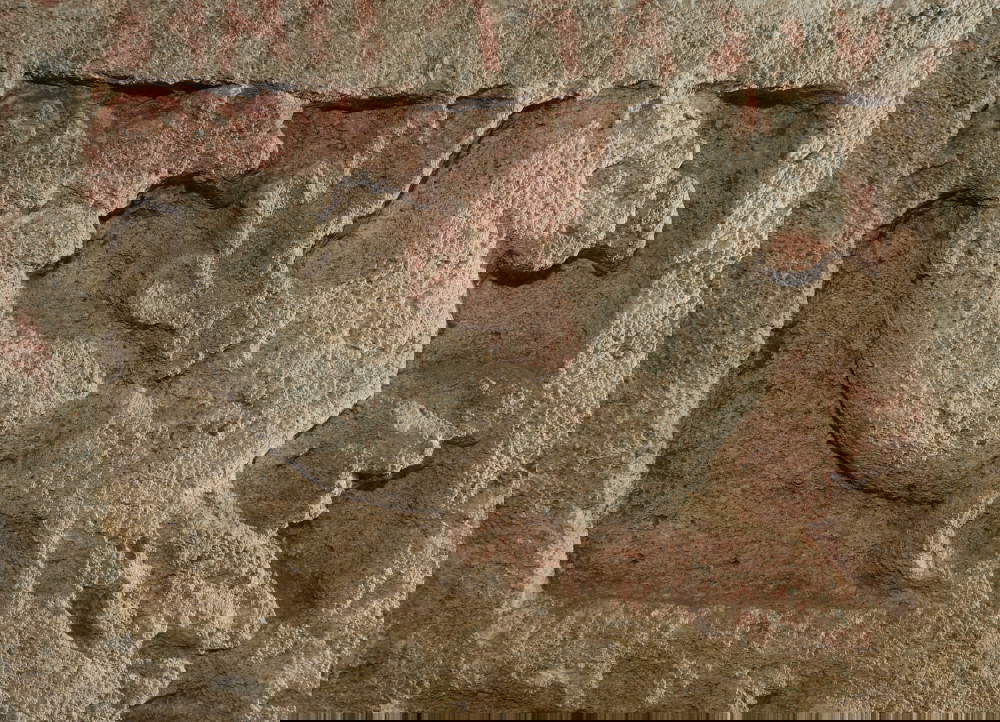 Caja tallada con escenas mitológicas y monstruos alados en el Museo Cívico La Città Sotterranea de Chiusi